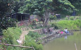 Hulu Langat Home Stay Eco Farm / 自然生态休闲度假屋